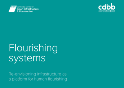 Flourishing Systems
